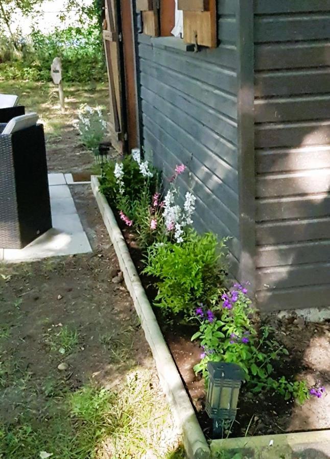 Chalet Du Moulin Cussac-Fort-Medoc Esterno foto